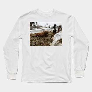 Scottish Highland Cattle Cow and Calf 1725 Long Sleeve T-Shirt